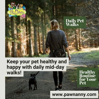 New York, Pet Sitting, Daily Mid Day Pet Walks