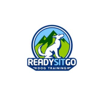 New York, Pet Sitting, Professional Service Dog Training In Denver, CO