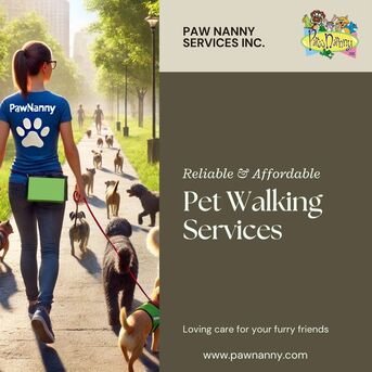 New York, Pet Sitting, Professional Pet Walking Services – Reliable & Affordable