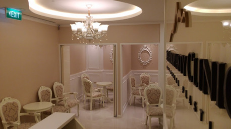 Singapore, Business Partners, The Rhinoplasty Clinic