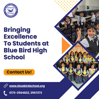 Chandigarh Tricity, Education, CBSE School Admissions For Primary Classes – Build A Strong Foundation