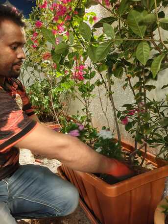 Jeddah, Farm/Garden, Gardener-professional Gardener Plants Trees Flowers Fruit Trees Vegetable Trees
