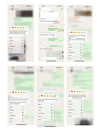 Khobar, Pet Sitting, Pet/Cat Sitting At Home With Individual Care (Dammam / Al-khobar / Jubail / Rastanura))