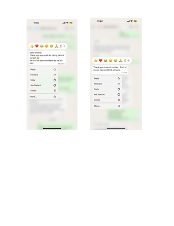 Khobar, Pet Sitting, Pet/Cat Sitting At Home With Individual Care (Dammam / Al-khobar / Jubail / Rastanura))