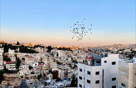 Amman, Apartments/Houses, JOD 500/month,  Furnished,  1 BR,  65 Sq. Meter,  Furnished Apartment For Rent In Jabal Amman - First Circle, Very Near Buffalo Wings&Rings