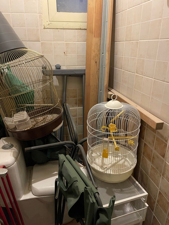 Khobar, Food, SAR 100,  Showcase Serving Console With Warmer Stand