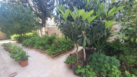 Abdoun, Apartments/Houses, JOD 24000/year,  4 BR,  Ground Semi Furnished 4B With Big Garden In Abdoun 00962777688956