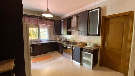 Amman, Apartments/Houses, JOD 14000/year,  Furnished,  3 BR,  Ground Fully Furinshed 3B Apartment With Outside Garden In Shemsani 00962777688956