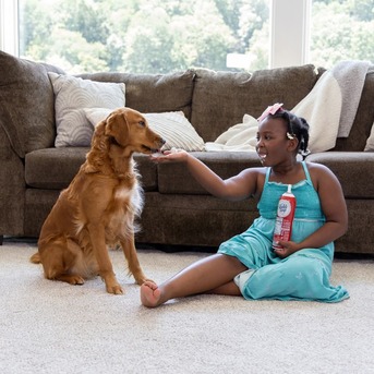 Fujairah, Cleaning, Zafreno Sofa Cleaning Fujairah