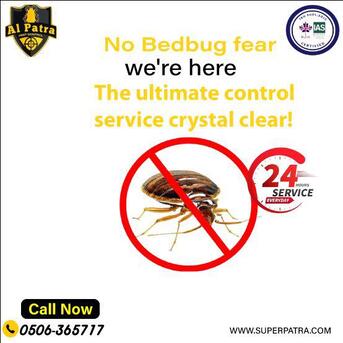 Riyadh, Pest Control, 🚨 COCKROACH PROBLEM? SUPER PATRA HAS THE BEST SOLUTION! 🚨
