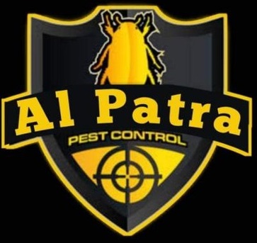 Riyadh, Pest Control, 🚨 COCKROACH PROBLEM? SUPER PATRA HAS THE BEST SOLUTION! 🚨