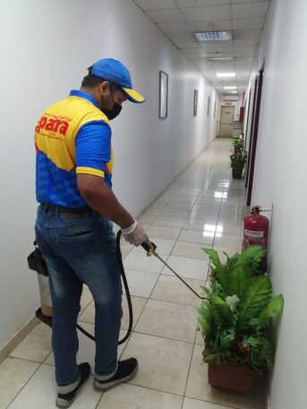 Riyadh, Pest Control, 🚨 COCKROACH PROBLEM? SUPER PATRA HAS THE BEST SOLUTION! 🚨