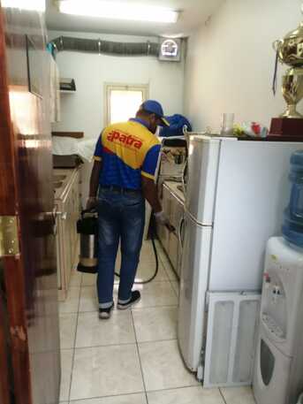 Riyadh, Pest Control, 🚨 COCKROACH PROBLEM? SUPER PATRA HAS THE BEST SOLUTION! 🚨