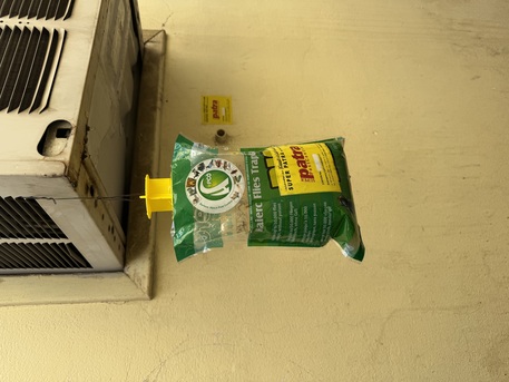 Riyadh, Pest Control, Cockroaches Control Expert - Jeddah - Riyadh- Madina - Makkah