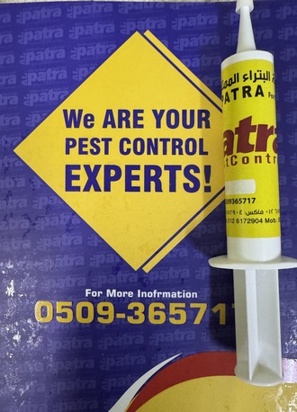 Riyadh, Pest Control, Cockroaches Control Expert - Jeddah - Riyadh- Madina - Makkah