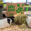 GBP 11,  The Hay Shop For Small Pets
