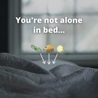 Fujairah, Cleaning, Sofa , Carpet, Chair, Mattress Cleaning In Fujairah