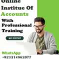 Professional - Office Training - In Accounts & Finance-(Online Facility)