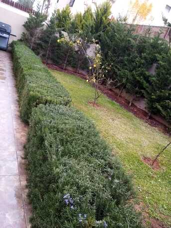 Abdoun, Apartments/Houses, JOD 12000/year,  Furnished,  2 BR,  Ground Fully Furinshed 2B Apartment With Garden In Abdoun 00962777688956