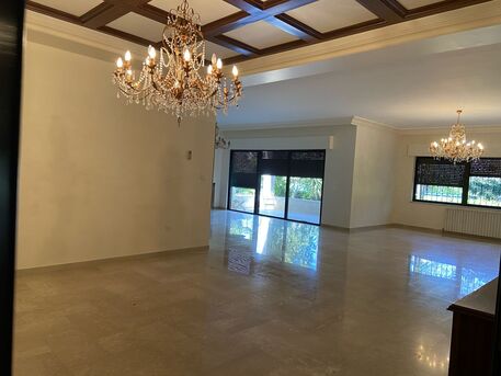 Abdoun, Apartments/Houses, JOD 30000/year,  4 BR,  Ground Semi Furnished 4B Apart With Big Garden In Abdoun 00962777688956