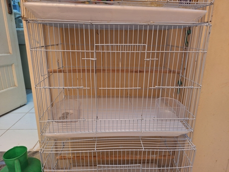 Mushrefah, Pet Supplies, SAR 45,  Bird Cage