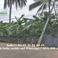 Commercial Land Sale Thiruvalla, Kattode 27 Cents Near TK Road - Call 39044943