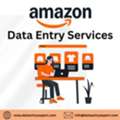 Best Amazon Data Entry Services