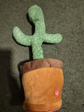 Jubail, Toys & Games, SAR 40,  Dancing Cactus And Bird Cage