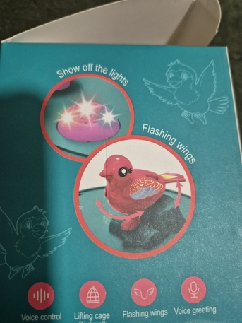 Jubail, Toys & Games, SAR 40,  Dancing Cactus And Bird Cage