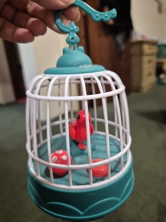 Jubail, Toys & Games, SAR 40,  Dancing Cactus And Bird Cage