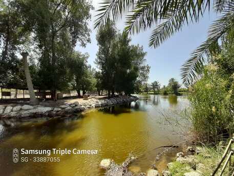 Budaiya, Apartments/Houses, BHD 650/month,  3 BR,  650 Sq. Meter,  Affordable 3-Bedroom Villa In Budaiya &ndash; Inclusive BHD 650/-