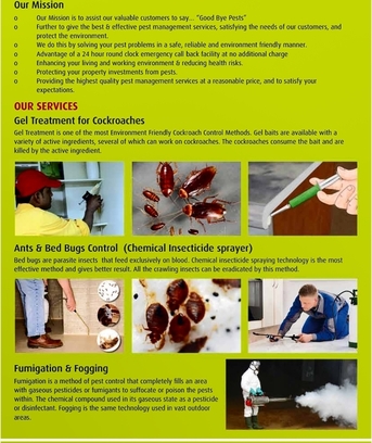 Riyadh, Pest Control, WWW.ALBUSTAN PEST CONTROL SERVICE.COM