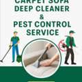 Best Treatment For Cockroach Ant Insect Bed Bugs Solutions Best Company 0557855145