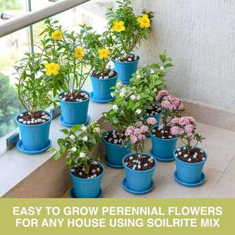 Bangalore, Farm/Garden, Soil Less Potting Mix