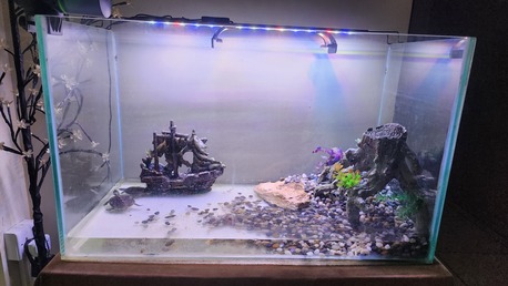 Jubail, Pet Supplies, SAR 600,  Aquarium With Accessories And Auto Feeder