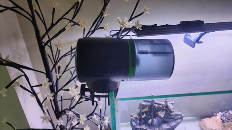 Jubail, Pet Supplies, SAR 600,  Aquarium With Accessories And Auto Feeder