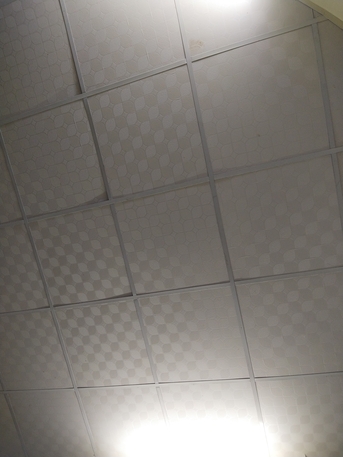 Al Bawadi, Job Seekers, Gypsum Board Ceiling Designer=0580486228