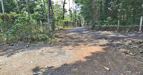 Manama, Residential Plots, Your Ideal Home Plot 21 Cents In KERALA &ndash;  Kattode, Near Thiruvalla! Call Sam 39044943