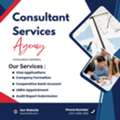 Business Bank Account Opening & Financial Advisory