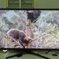 SAR 700,  Samsung TV 60inch Sr700
