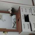 Cupboard, Double Bed And Dressing Table For Sale