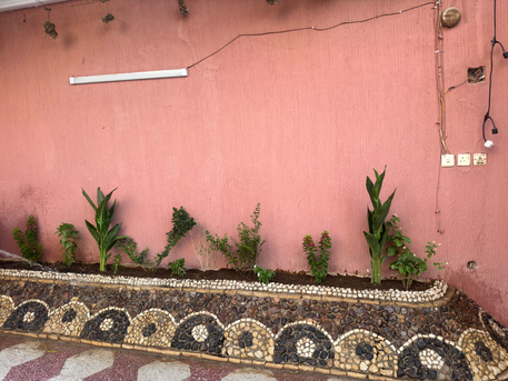 Riyadh, Job Seekers, Plantation Contractor