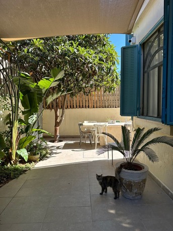 Amman, Apartments/Houses, JOD 10000/year,  Furnished,  1 BR,  Ground Fully Furinshed 1B Apartment With Big Garden In Jabal Webdeh 00962777688956