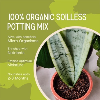 Jaipur, Farm/Garden, Potting Mix For Indoor Plants