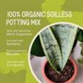 Potting Mix For Indoor Plants