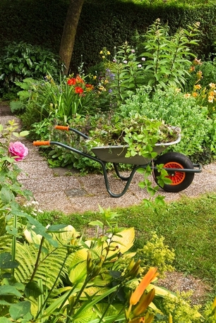 London, Farm/Garden, Landscape Gardeners London