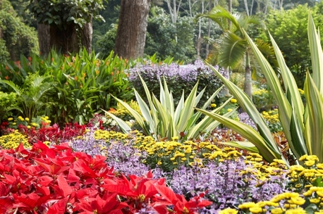 London, Farm/Garden, Landscape Gardeners London