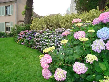 London, Farm/Garden, Landscape Gardeners London