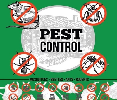Al Naseem, Pest Control, ?33PROFESSIONAL ALL TYPES PEST❤️ CONTORL SOLUTION With GUARANTEED&hearts;️BEST PRICE{0571-866433}