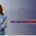 PRO Services In Dubai, UAE